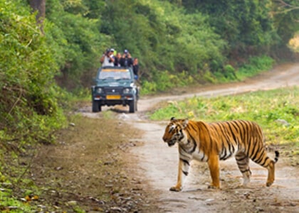 Delhi to Jim Corbett